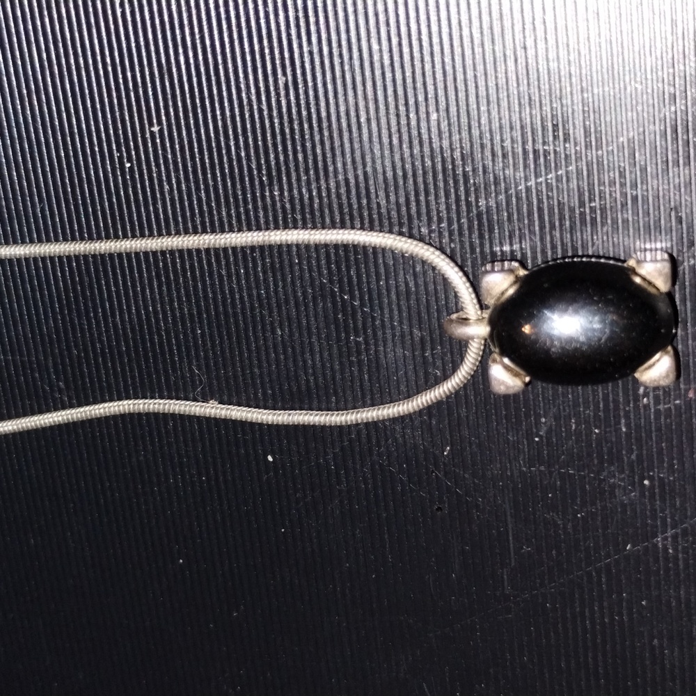 Beautiful silver turtle necklace from Express